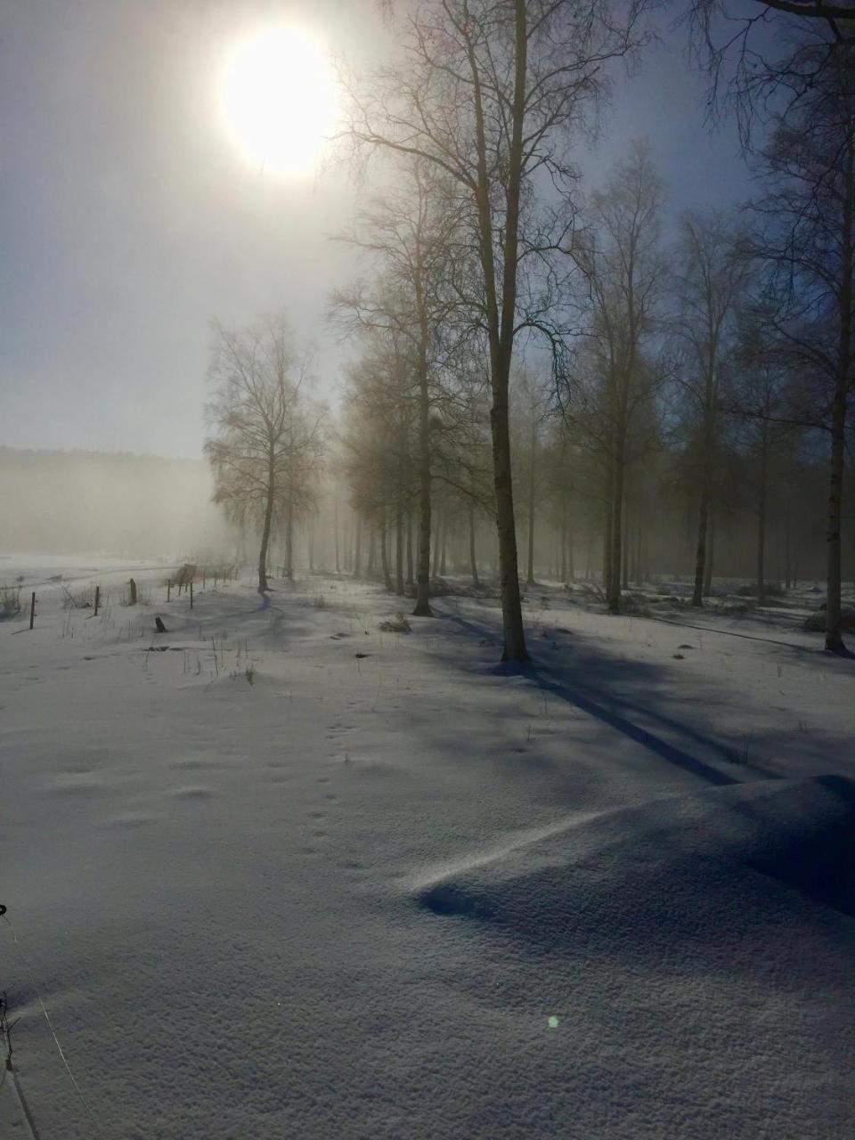 Sagverket Hoega Kusten Rö Buitenkant foto
